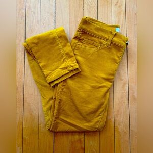 LOFT high waisted skinny corduroy pants.